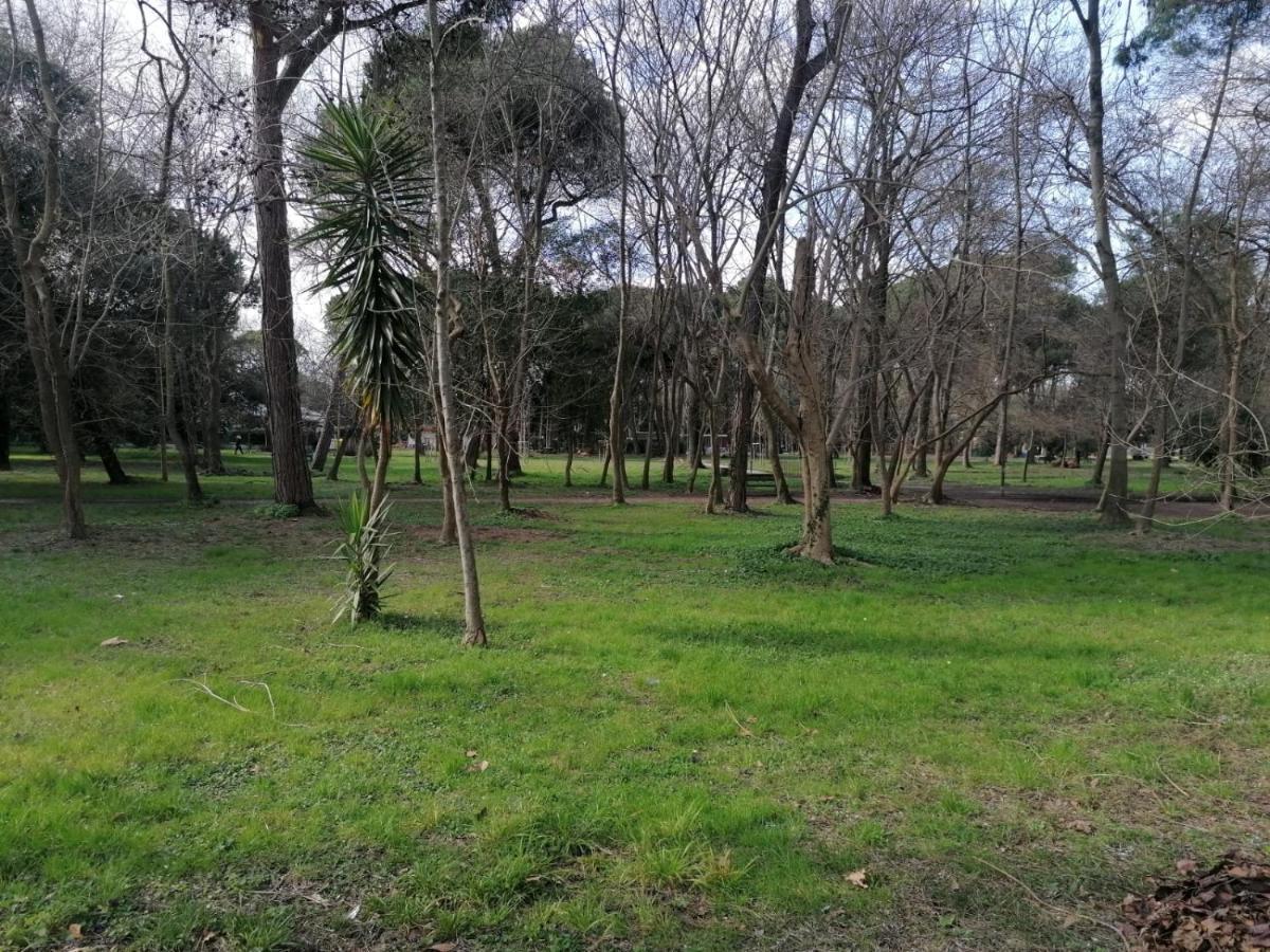 La Casina Giramondo Di Ele Viareggio Exteriör bild